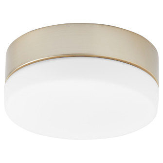 Allegro LED Fan Light Kit in Aged Brass (19|3911940)