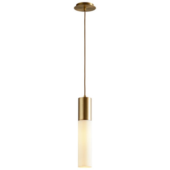Magnum LED Pendant in Aged Brass (19|365340)
