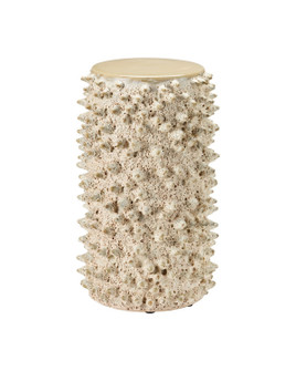 Relic Accent Table in Sand (142|30000333)