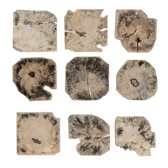 Bahati Wall Decor Set/9 in Light Bleached (52|04398)