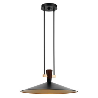 Tenon LED Pendant in Black (12|52833BKLED)