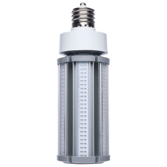 Light Bulb in Dark Gray (230|S13139)