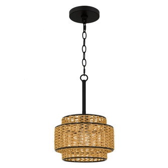 Teton One Light Mini Pendant in Matte Black (10|TET1510MBK)
