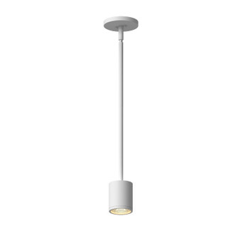 Nordic LED Outdoor Pendant in White (347|EP262103WH)