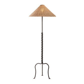 Francisco One Light Floor Lamp in French Iron (67|PFL5164FRN)