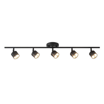 Denson LED Spotlight Track Light in Black (347|TR0710036BK)