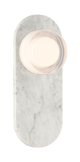 Sternn LED Outdoor Wall Sconce in Marble White (40|50273041)