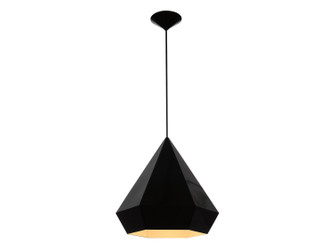 Doheny Ave. One Light Pendant in Black (192|HF9115BK)