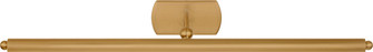 Lamont LED Picture Light in Burnished Brass | Burnished Brass (454|CW1401BBS)