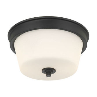 Strayhan Two Light Flush Mount in Matte Black (59|64102WGMB)