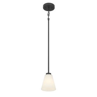 Strayhan One Light Mini Pendant in Matte Black (59|64101WGMB)