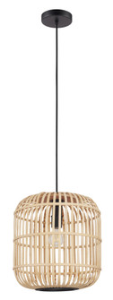 Bordesley One Light Pendant in Black (217|43216A)