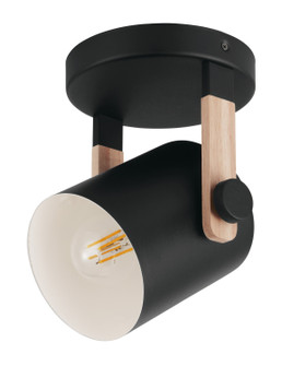 Hornwood One Light Ceiling Mount in Black (217|43046A)