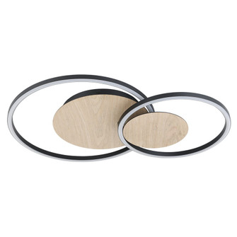 Palma LED Ceiling Mount in Structured Black, Veneer Oak (217|205747A)