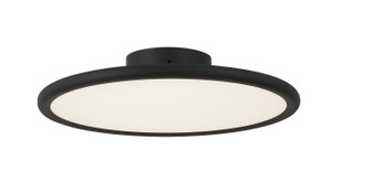 PIPER LED Wall Sconce/Ceiling Mount in Matte Black (423|CX38816MB)