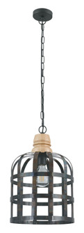 Oldcastle One Light Pendant in Black (217|49785A)