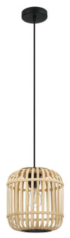 Bordesley One Light Pendant in Black (217|43231A)