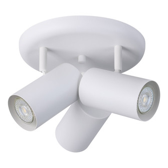 Calloway LED Track Light in White (217|206042A)