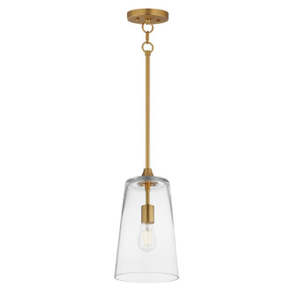 Hudson One Light Pendant in Natural Aged Brass (16|12886CLNAB)