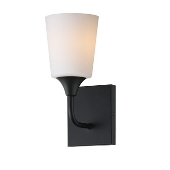 Hudson One Light Wall Sconce in Black (16|12881SWBK)