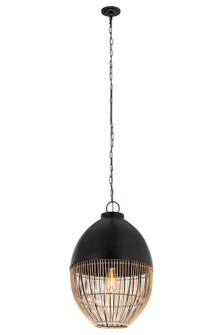 Downtown Urban Naturals One Light Pendant in Matte Black (405|6611PBK14NT)