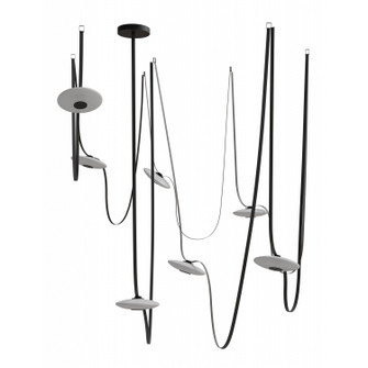 Fremont LED Chandelier in Black (192|HF7207G201BLK)