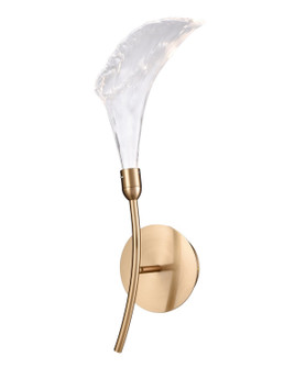 Calla LED Wall Sconce in Natural Brass (581|851941)