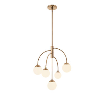 Fusion Five Light Chandelier in Brushed Brass (102|FSN9010ETCHBRSS)