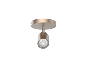 Pipe LED Monopoint in Brushed Nickel (34|TK260501CSBN)