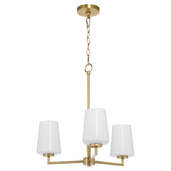Goodwin Three Light Chandelier in Aged Brass (19|62043280)