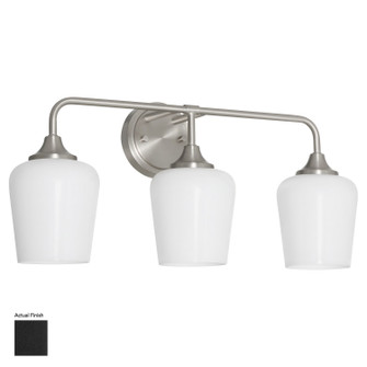 Raymond Three Light Wall Mount in Matte Black (19|53133259)