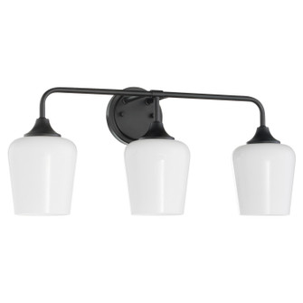 Raymond Three Light Wall Mount in Matte Black (19|53133259)