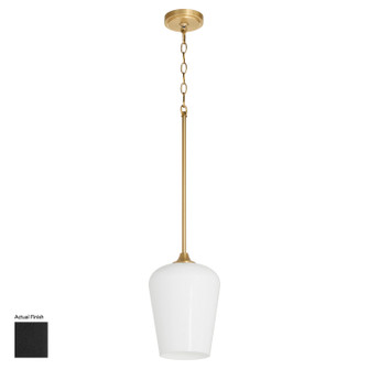 Raymond One Light Pendant in Matte Black (19|3313259)