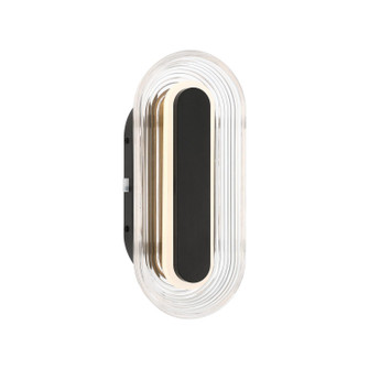 Plexus LED Outdoor Wall Mount in Matte Black (62|5910OWL13BLK)