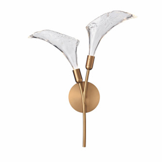 Calla LED Wall Sconce in Satin Brass (581|851952)
