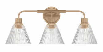 Pleated Three Light Vanity in Premium Bronze (46|61103CPZ)
