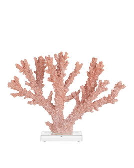 Coral Coral in Coral/Clear (142|12001083)