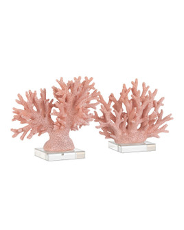 Coral Coral Set of 2 in Coral/Clear (142|12001082)