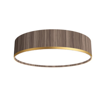 Cylindrical LED Ceiling Mount in American Walnut (486|5119LED18)