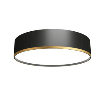 Cylindrical LED Ceiling Mount in Charcoal (486|5118LED44)