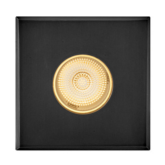 Sparta - Dot LED Button Light in Stainless Steel Black (13|15085SSB)