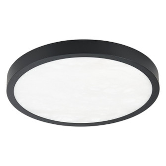Argyle LED Flush Mount in Textured Black (577|207613A)