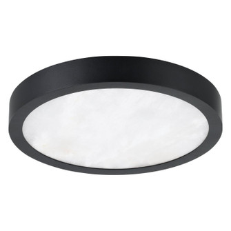 Argyle LED Flush Mount in Textured Black (577|207612A)