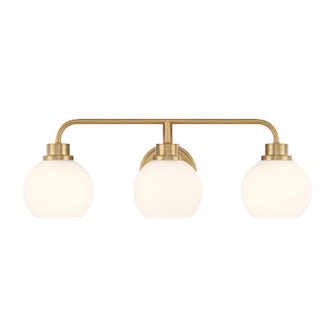 Three Light Bathroom Vanity in Natural Brass (446|M80081NB)