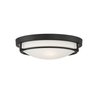 Mflus Two Light Semi-Flush Mount in Matte Black (446|M60019MBK)
