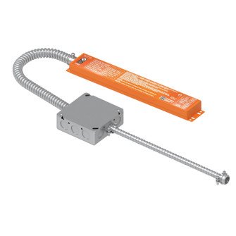 LED Driver and Junction Box Kit in Orange (167|NEPK20LEDUNVJB)