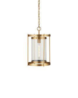 Pippin One Light Pendant in Antique Brass / Clear (142|90001493)