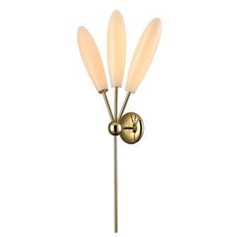 Sprig Three Light Wall Sconce in Polished Brass (581|860363)