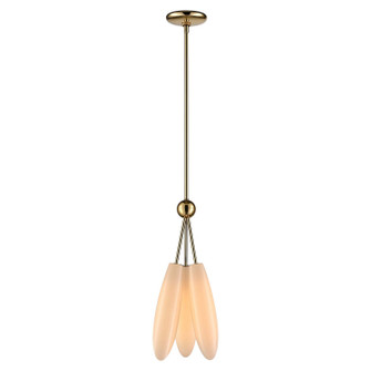 Sprig Three Light Pendant in Polished Brass (581|860313)
