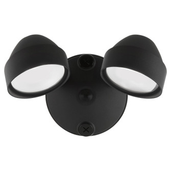 LED Flood Light in Matte Black (19|930259)